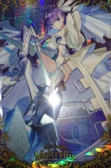Amazon.co.jp: Fate/Grand Orderウエハース6 SSR25 シークレット